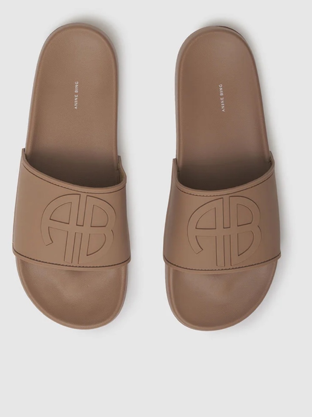 Anine bing isla logo slides